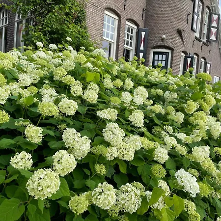 Rozenhof منزل ريفي آلمين