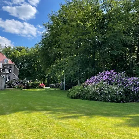 Rozenhof منزل ريفي آلمين