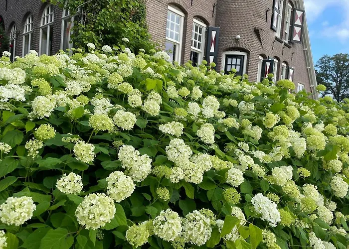 Rozenhof Landhuis Almen