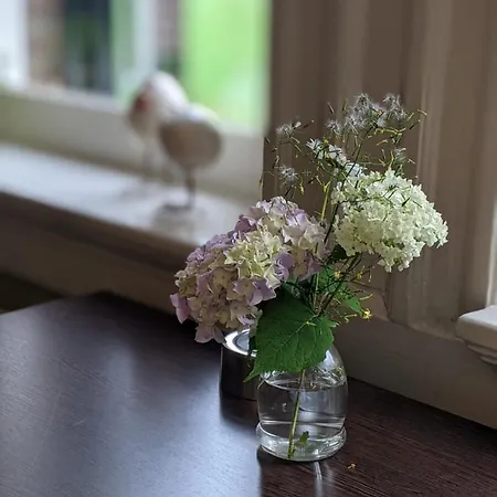 Country house Rozenhof *