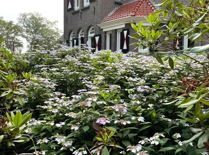 Lantställe Rozenhof Almen