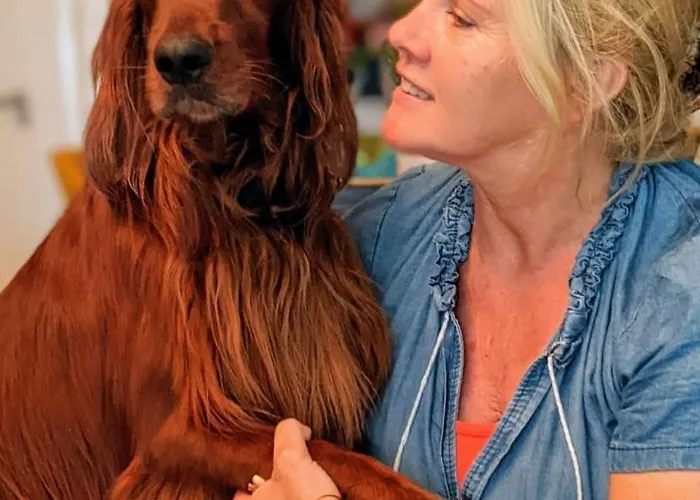 Lantställe Rozenhof